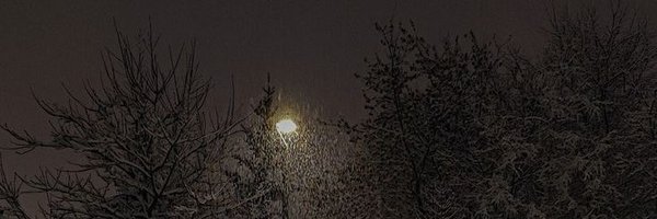 reiyamin Profile Banner