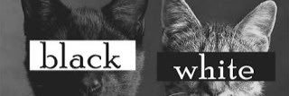 072master4545's profile banner image