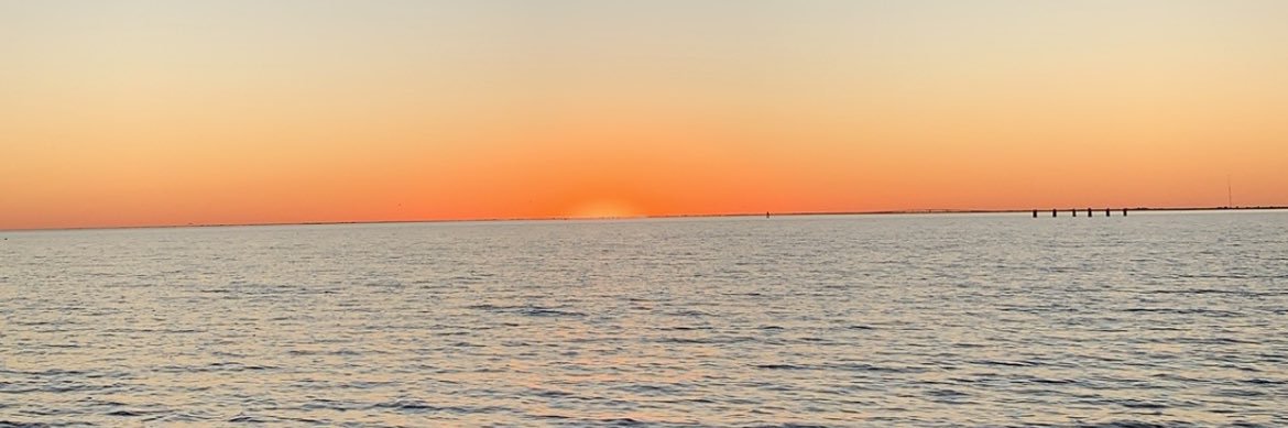 Chelsott's profile banner image
