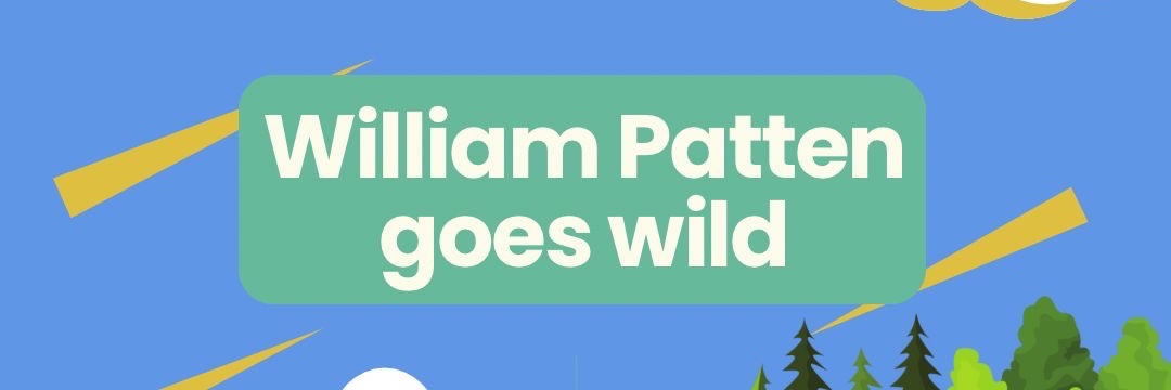 Nina Lovelace banner