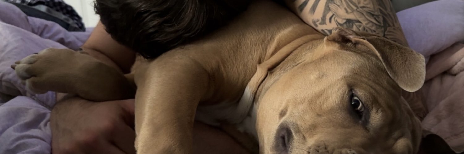 daniela_m_56's profile banner image