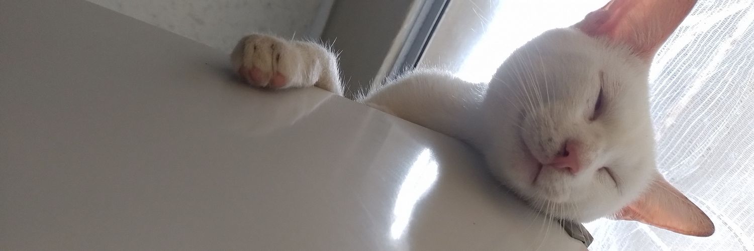 xsluisa_'s profile banner image