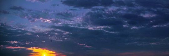 ethan's banner