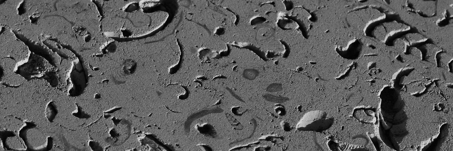 Mike Meredith 🇪🇺🏴 banner