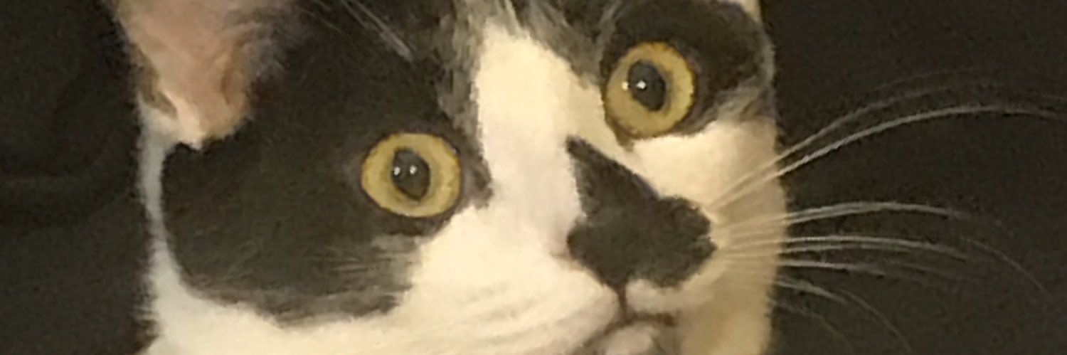 unlockalyssa's profile banner image