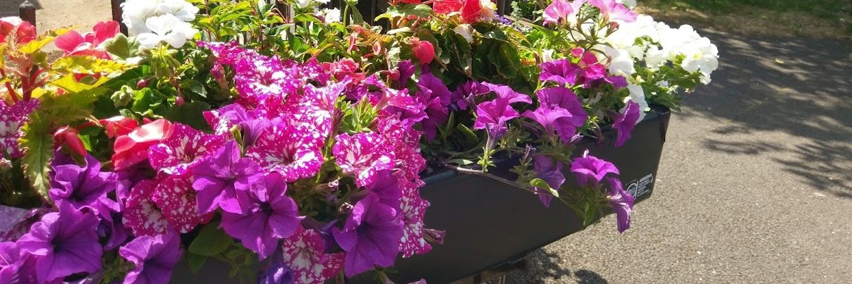 Chatteris in Bloom banner