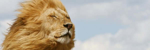 roller2426 Profile Banner