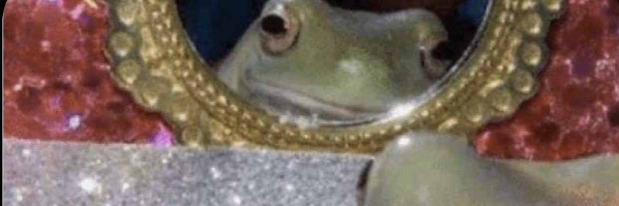 haileyrae3497's profile banner image