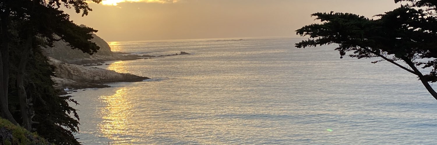 Alexandra Benado banner