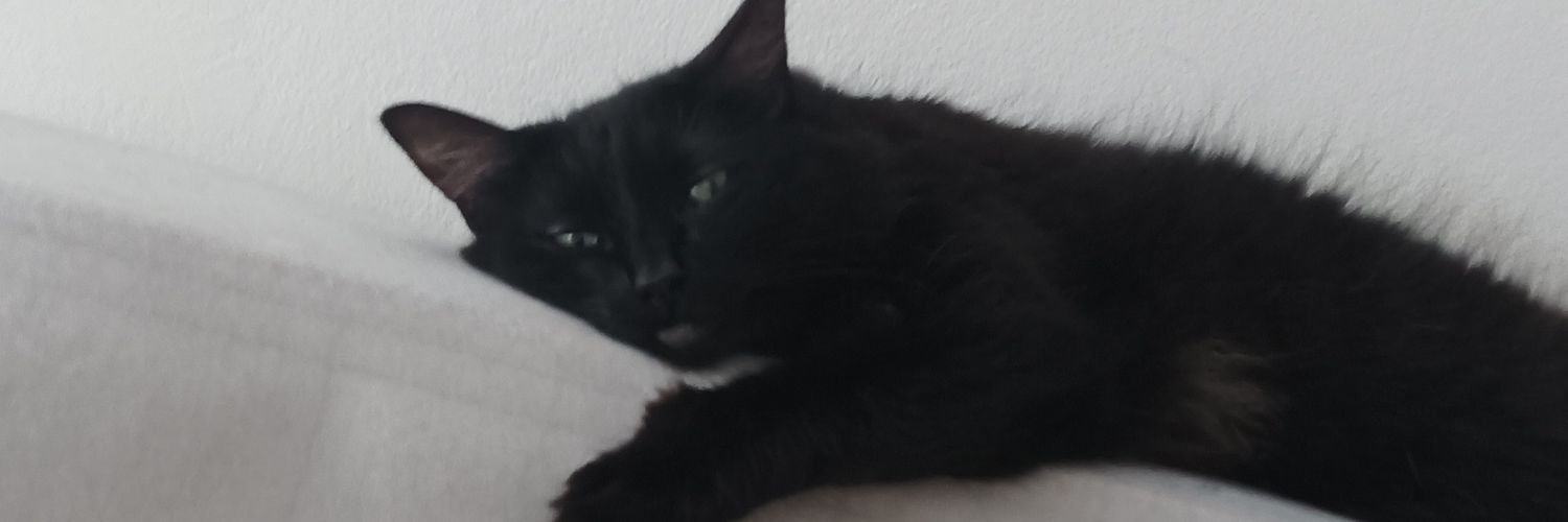 agathaduarte6's profile banner image