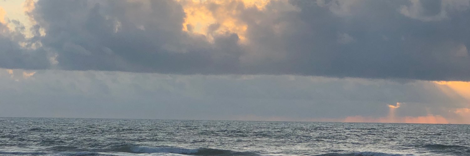 MsCecile 🙏🐕🇺🇸🍞🥘🍛👙 banner