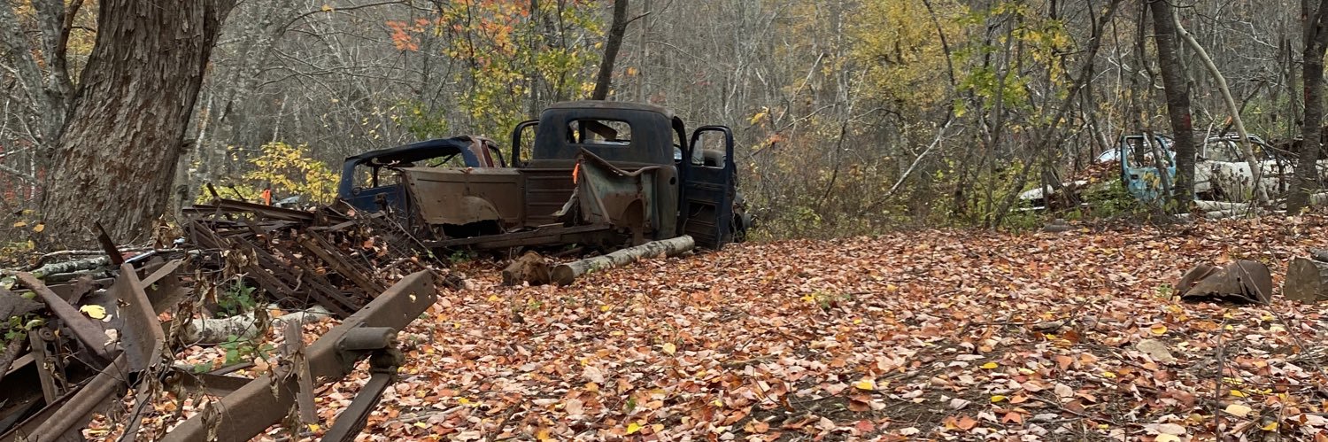 forest_erin's profile banner image