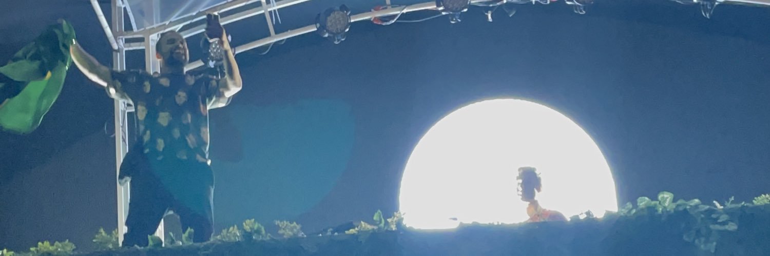 Léo das Vibez banner