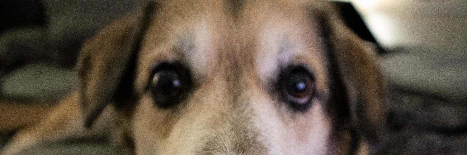 aetaric's profile banner image