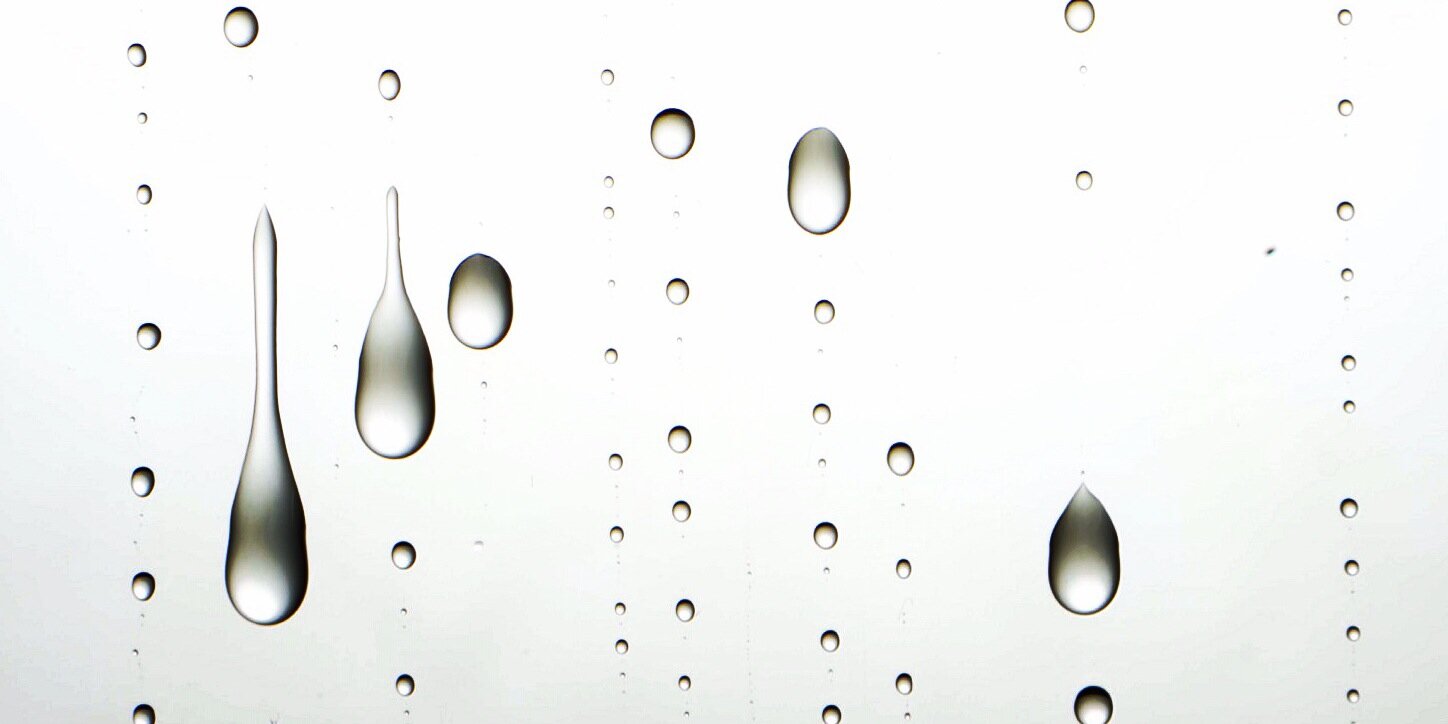 SugerSprout's profile banner image