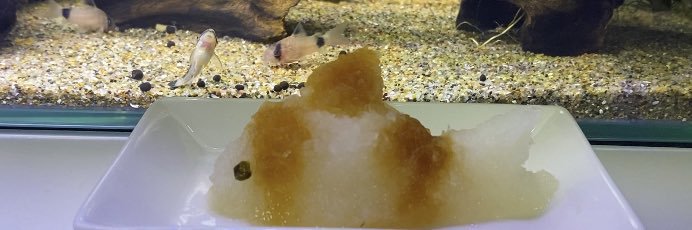 nonoあくあ垢 banner