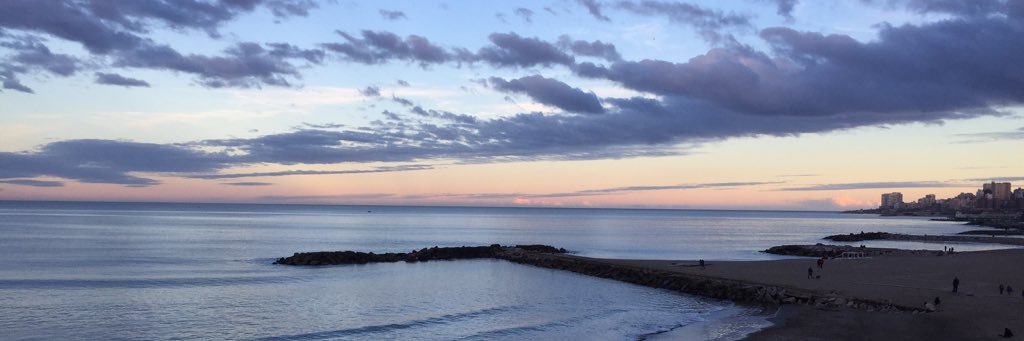 Mariano Suárez banner