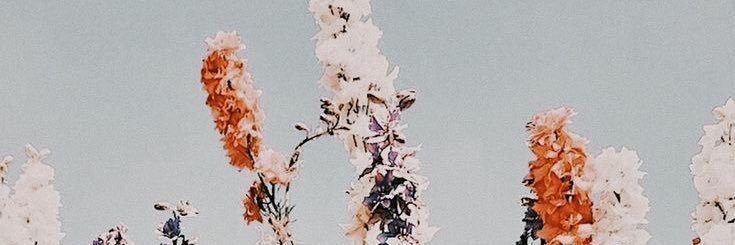 ` banner