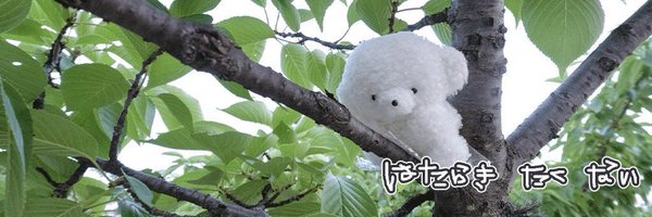 chiruru_ruru_ru Profile Banner