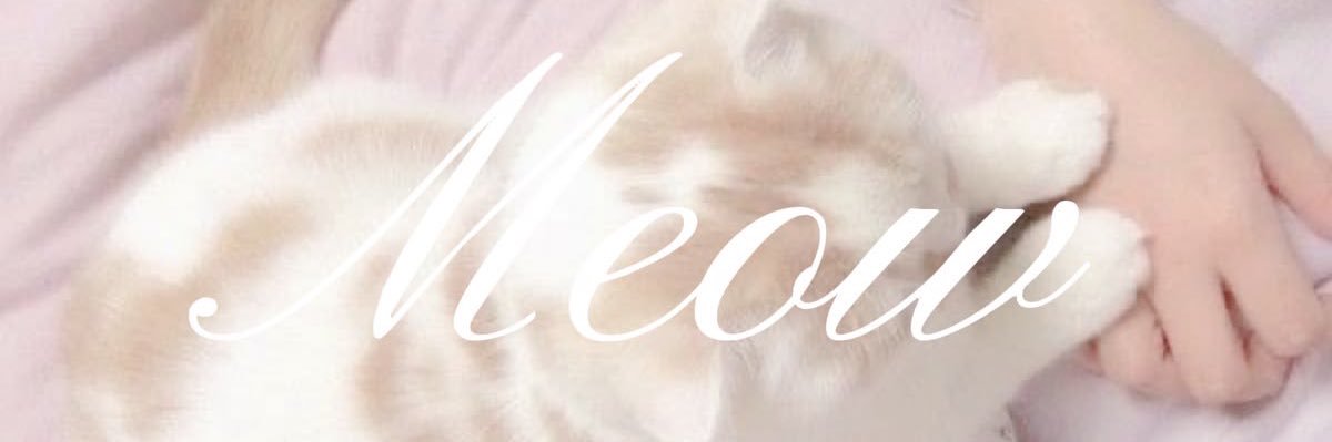 blushedmeow's profile banner image