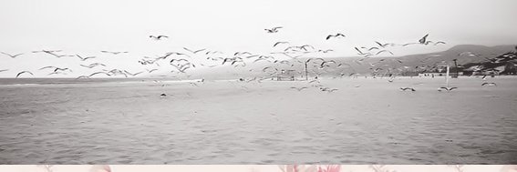 mano7239's profile banner image