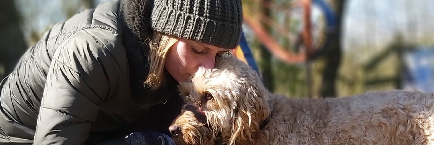 AndyHooson's profile banner image