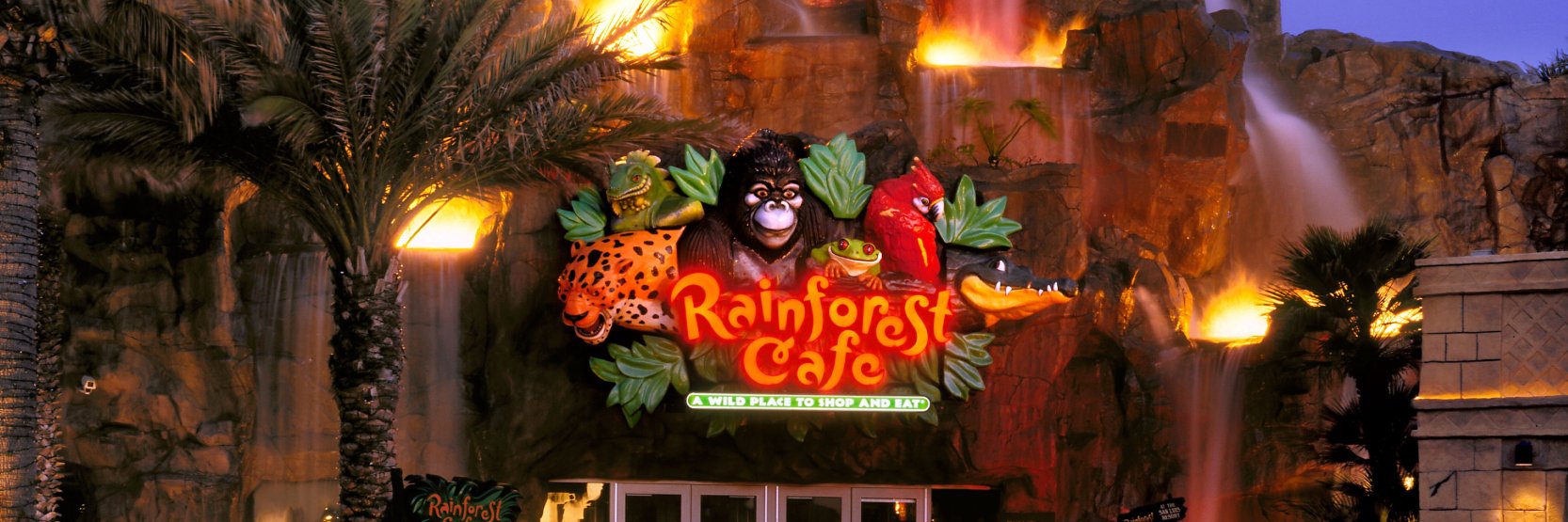 Rainforest Cafe banner