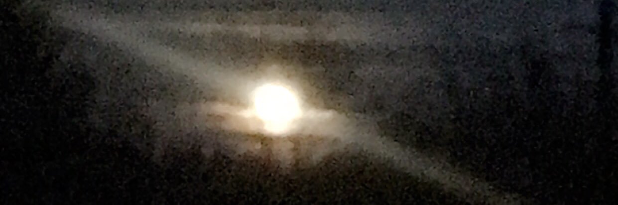 AustinSimmons33's profile banner image