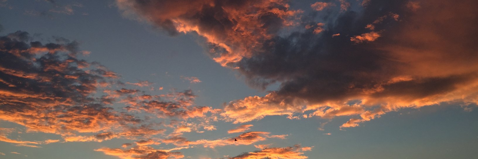JohnVitale323's profile banner image