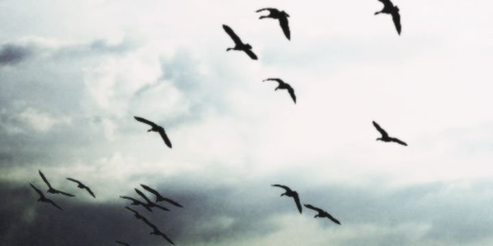 anamaria_cb's profile banner image
