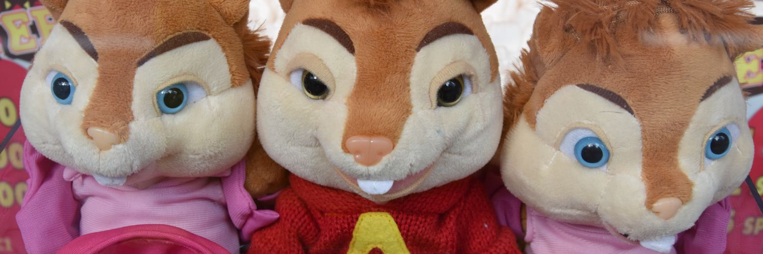 Madpet's profile banner image