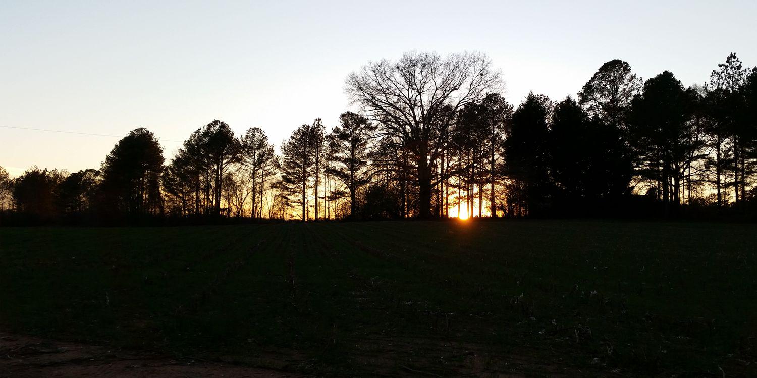 Mason_Adams_'s profile banner image