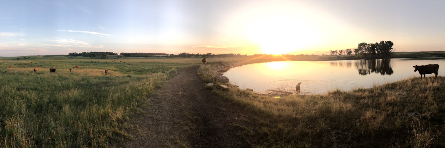 Matt Eichacker 🇺🇸 🌽🥩 banner