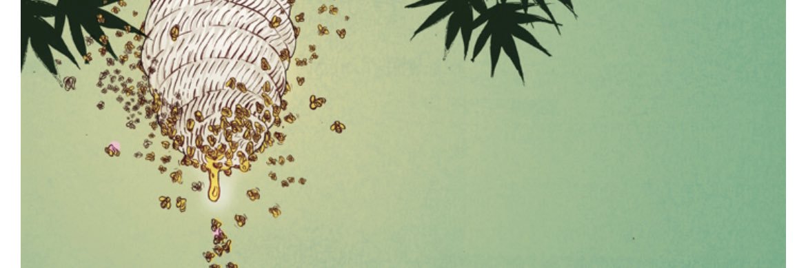 caddsss's profile banner image