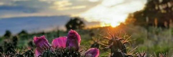 gip_githens Profile Banner