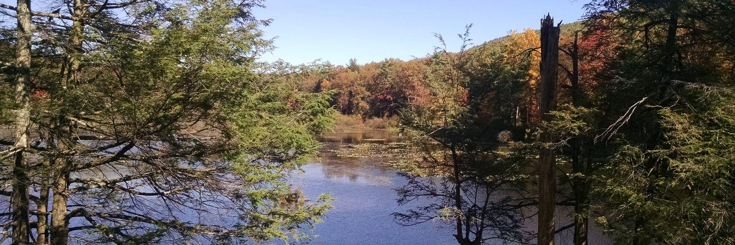 Shannon Monnat banner