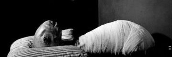 pipeshotgun Profile Banner