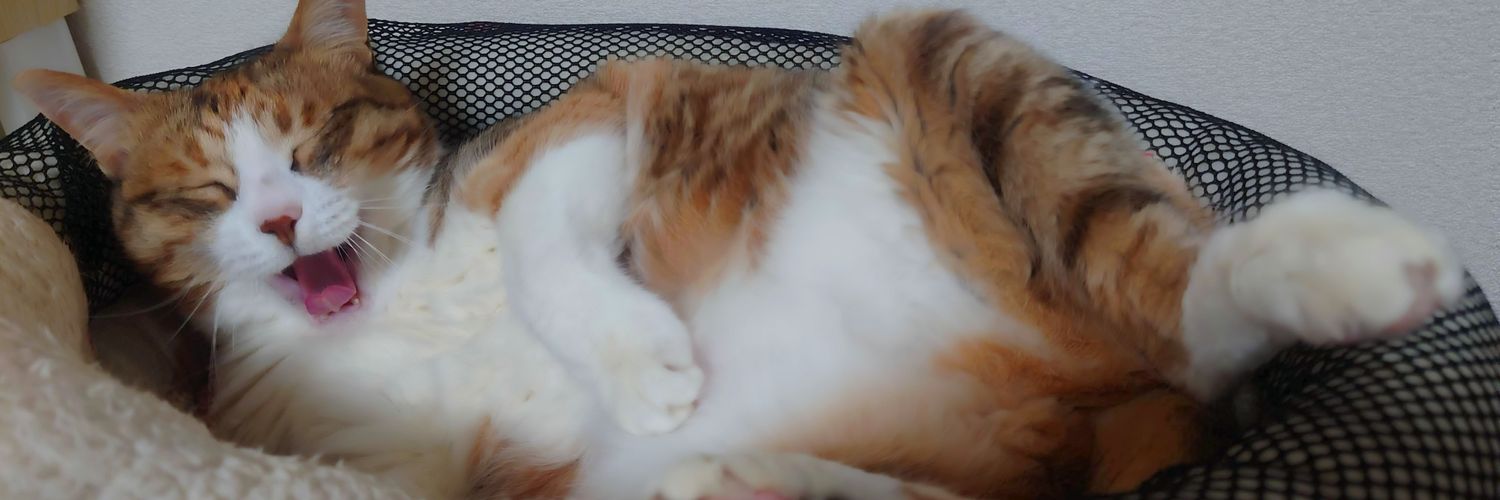 chikkusan's profile banner image