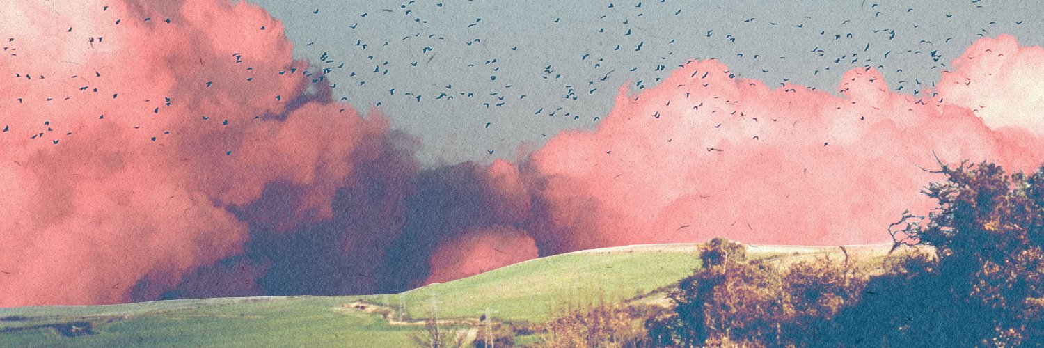 smddly's profile banner image