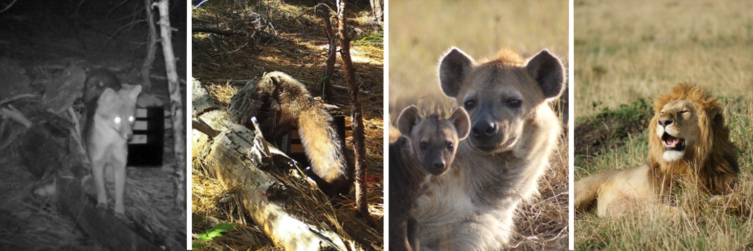 David Green, PhD banner