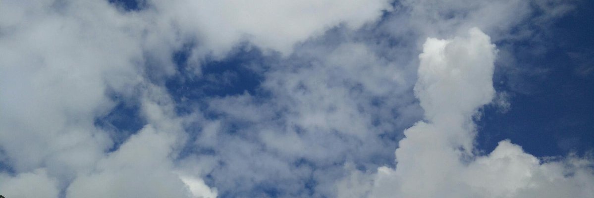 thedenial's profile banner image