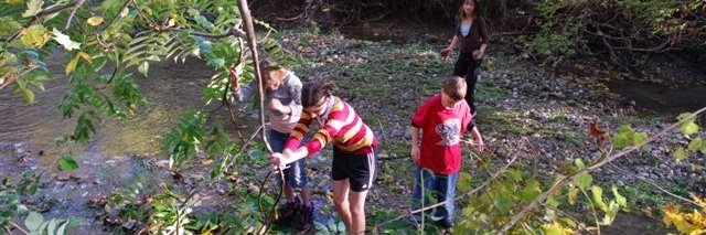 Dr Kathy Hibbert banner