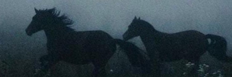 Emree_emree_'s profile banner image