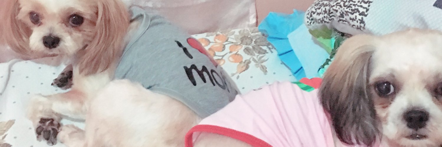 IIIAMKAREN11's profile banner image