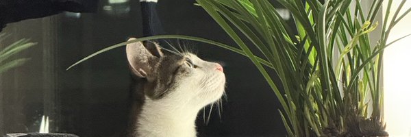 Pro_Hwang Profile Banner