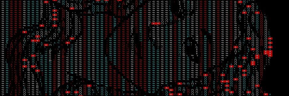 Hired Beard🥝 banner