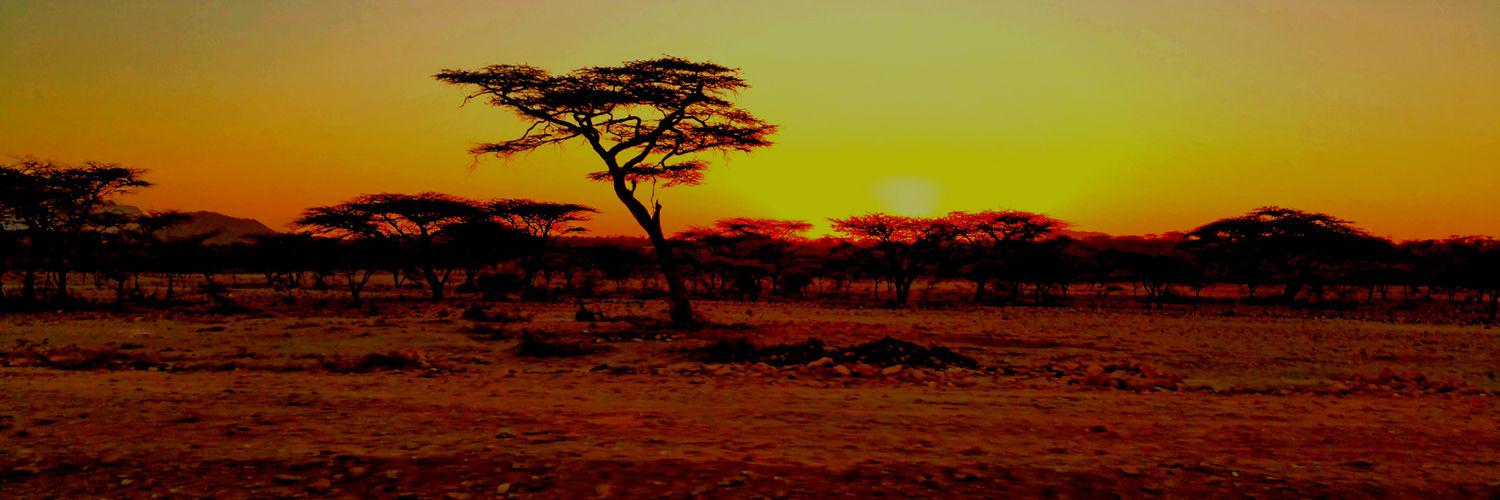 KLOVEScott's profile banner image