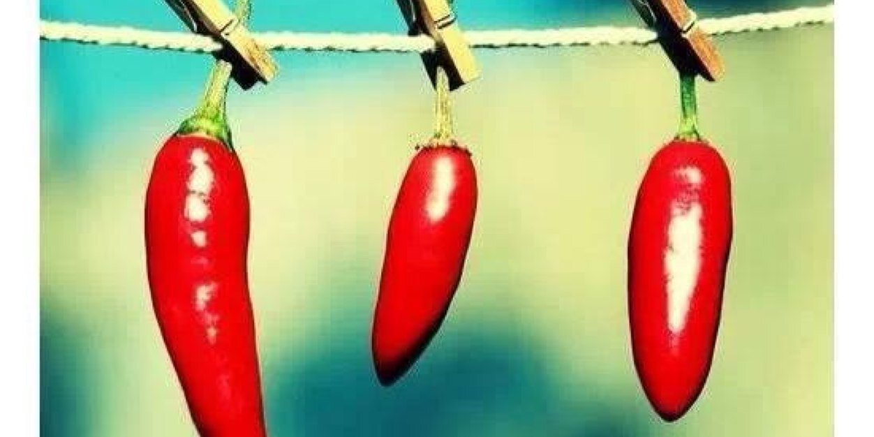 LeAccorsi's profile banner image