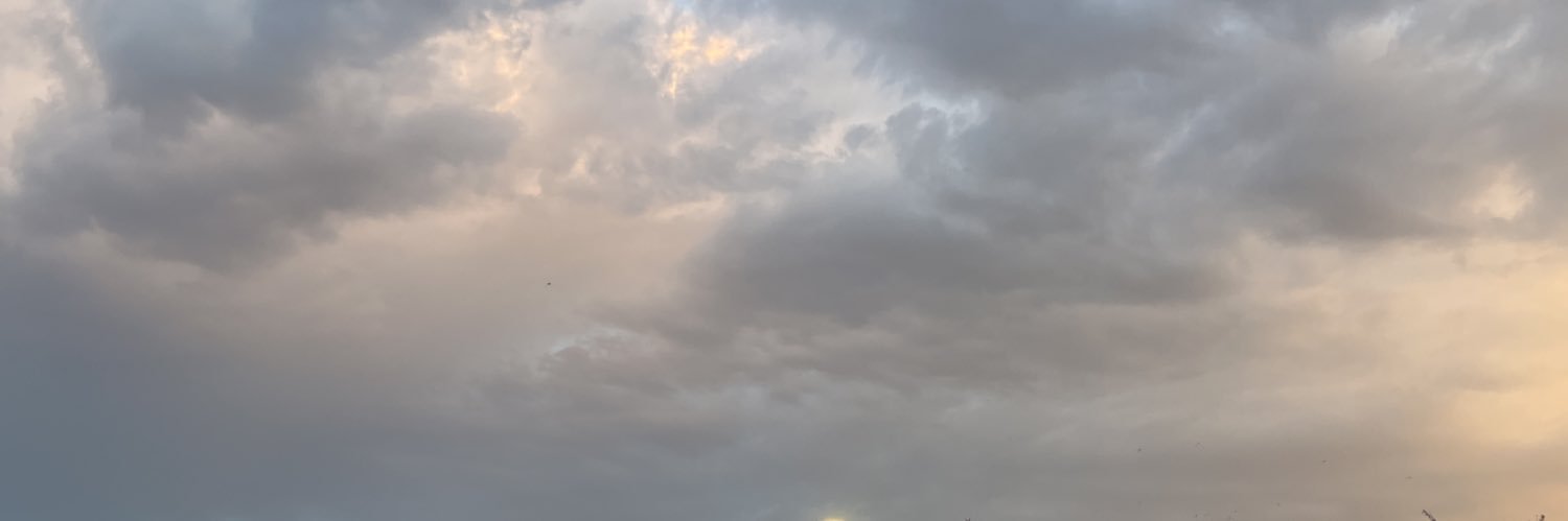 QAis ALhurabI banner