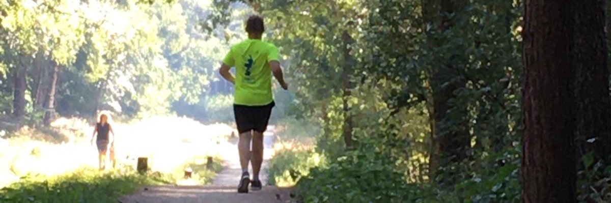 Rob Zelen banner